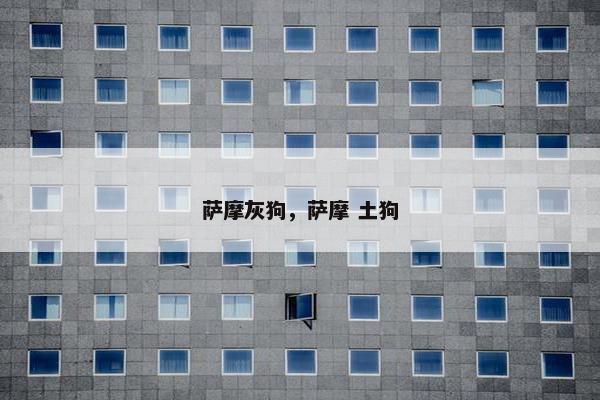 萨摩灰狗，萨摩 土狗