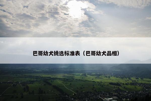 巴哥幼犬挑选标准表（巴哥幼犬品相）