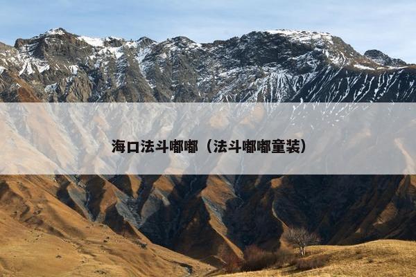 海口法斗嘟嘟（法斗嘟嘟童装）