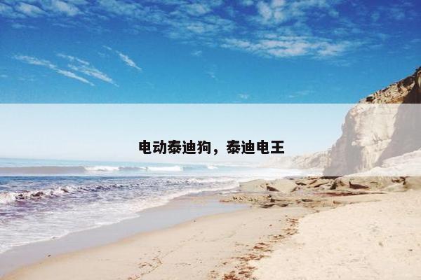 电动泰迪狗，泰迪电王