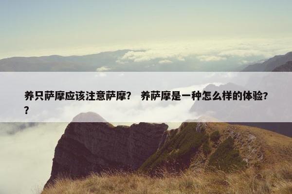 养只萨摩应该注意萨摩？ 养萨摩是一种怎么样的体验?？