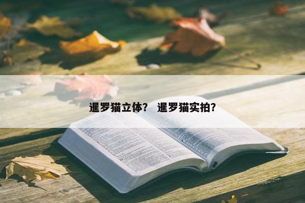 暹罗猫立体？ 暹罗猫实拍？