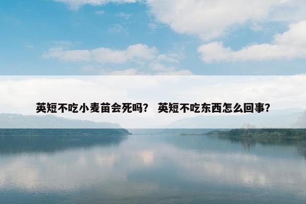 英短不吃小麦苗会死吗？ 英短不吃东西怎么回事？