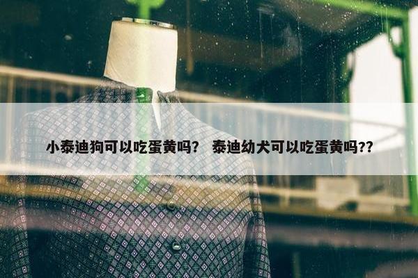 小泰迪狗可以吃蛋黄吗？ 泰迪幼犬可以吃蛋黄吗?？