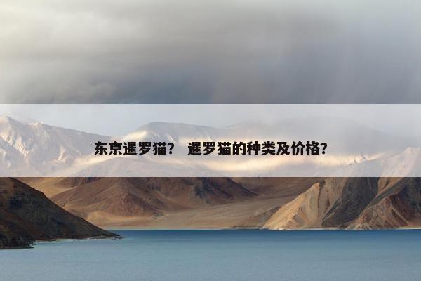 东京暹罗猫？ 暹罗猫的种类及价格？