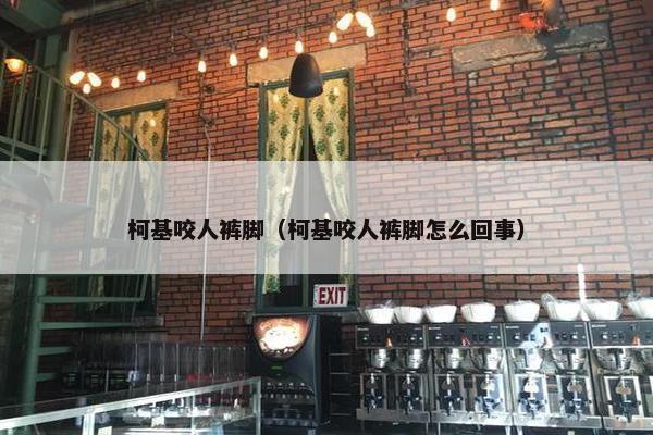 柯基咬人裤脚（柯基咬人裤脚怎么回事）