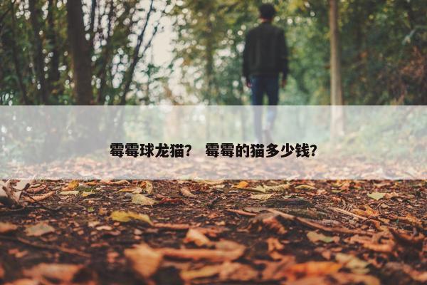 霉霉球龙猫？ 霉霉的猫多少钱？