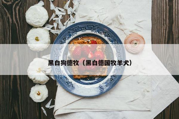 黑白狗德牧（黑白德国牧羊犬）