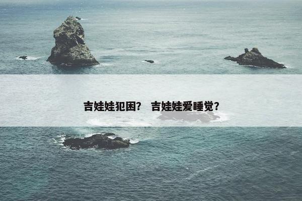 吉娃娃犯困？ 吉娃娃爱睡觉？