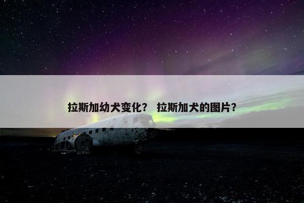 拉斯加幼犬变化？ 拉斯加犬的图片？