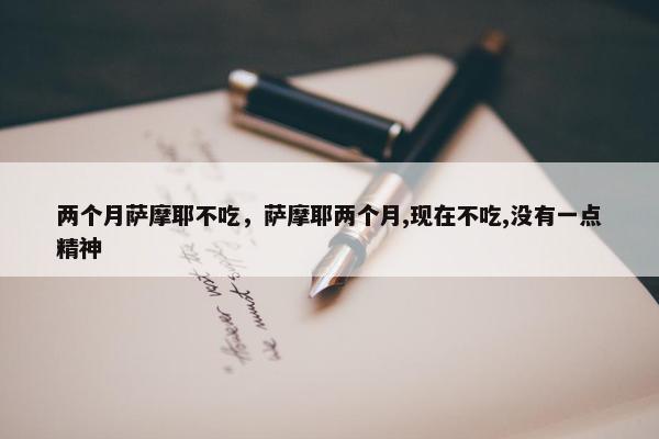 两个月萨摩耶不吃，萨摩耶两个月,现在不吃,没有一点精神