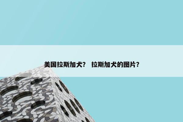 美国拉斯加犬？ 拉斯加犬的图片？