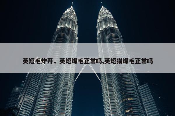 英短毛炸开，英短爆毛正常吗,英短猫爆毛正常吗