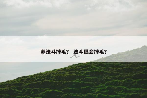 养法斗掉毛？ 法斗很会掉毛？