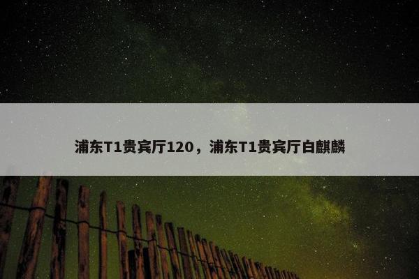 浦东T1贵宾厅120，浦东T1贵宾厅白麒麟
