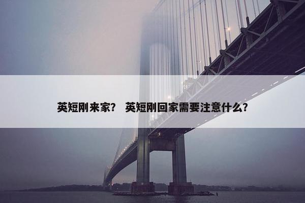 英短刚来家？ 英短刚回家需要注意什么？