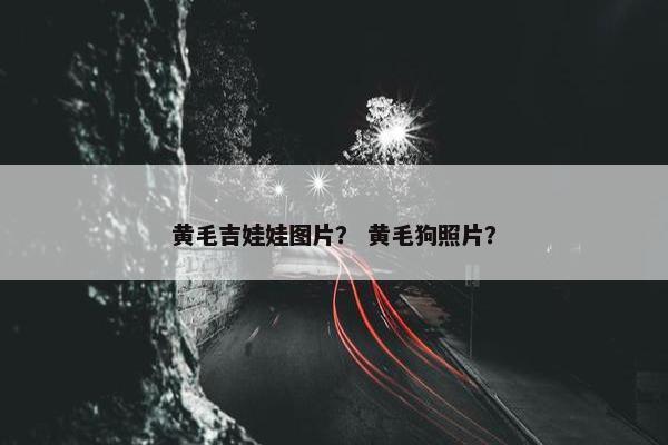 黄毛吉娃娃图片？ 黄毛狗照片？