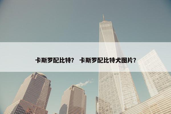 卡斯罗配比特？ 卡斯罗配比特犬图片？
