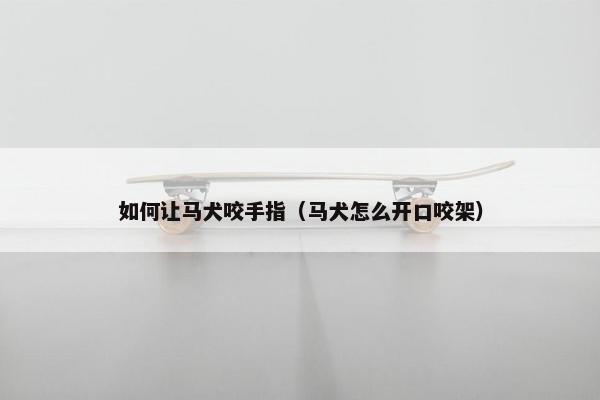 如何让马犬咬手指（马犬怎么开口咬架）