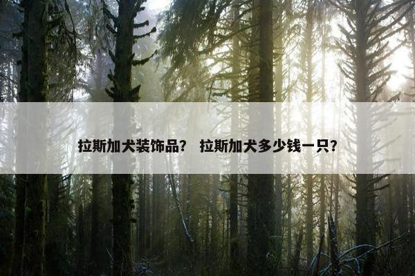 拉斯加犬装饰品？ 拉斯加犬多少钱一只？