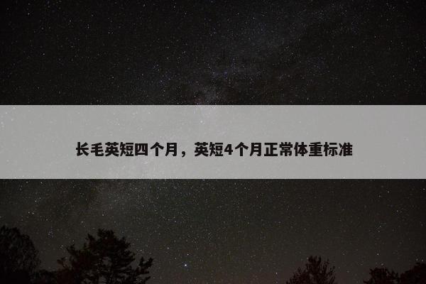 长毛英短四个月，英短4个月正常体重标准