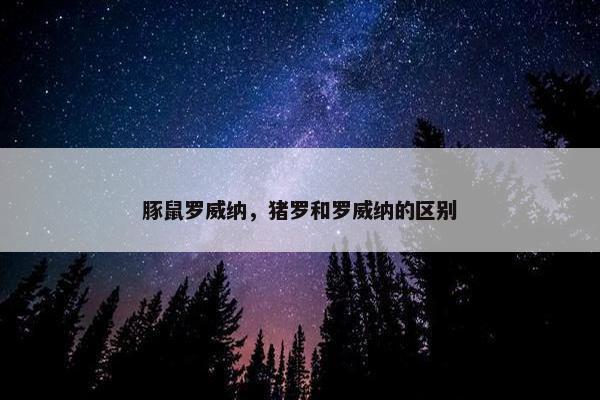 豚鼠罗威纳，猪罗和罗威纳的区别