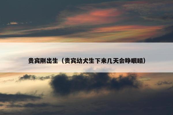 贵宾刚出生（贵宾幼犬生下来几天会睁眼睛）