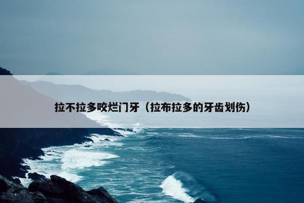 拉不拉多咬烂门牙（拉布拉多的牙齿划伤）