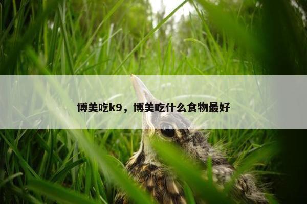 博美吃k9，博美吃什么食物最好