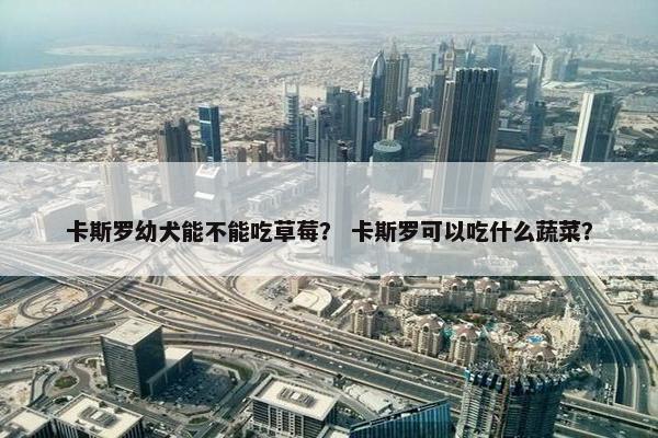 卡斯罗幼犬能不能吃草莓？ 卡斯罗可以吃什么蔬菜？
