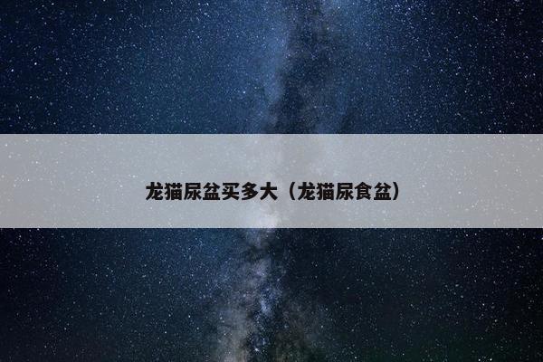 龙猫尿盆买多大（龙猫尿食盆）