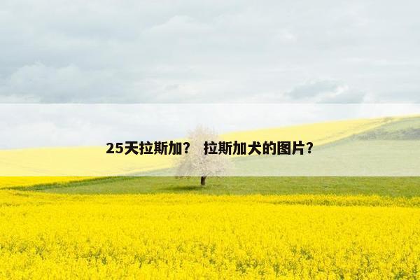 25天拉斯加？ 拉斯加犬的图片？