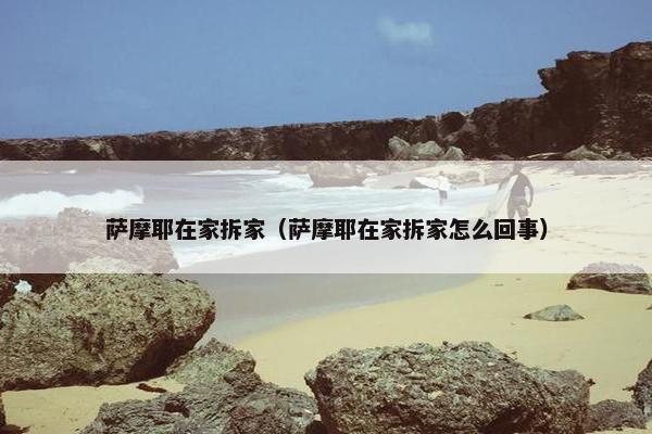 萨摩耶在家拆家（萨摩耶在家拆家怎么回事）