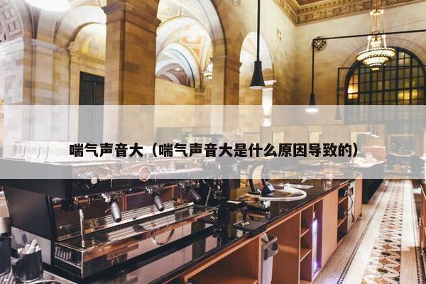 喘气声音大（喘气声音大是什么原因导致的）