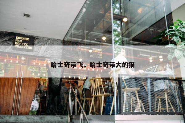 哈士奇带飞，哈士奇带大的猫