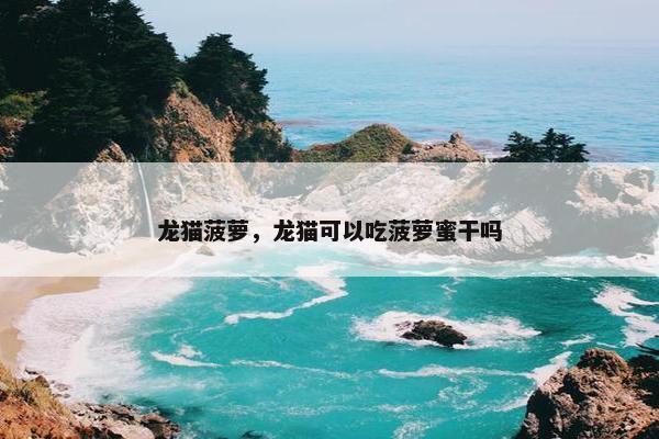 龙猫菠萝，龙猫可以吃菠萝蜜干吗