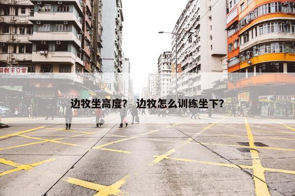 边牧坐高度？ 边牧怎么训练坐下？