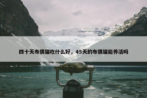 四十天布偶猫吃什么好，45天的布偶猫能养活吗