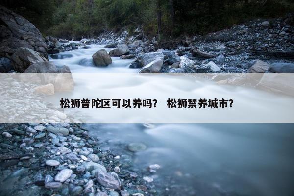 松狮普陀区可以养吗？ 松狮禁养城市？