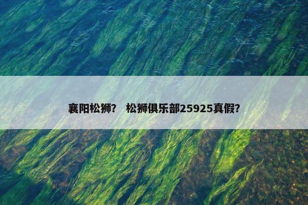 襄阳松狮？ 松狮俱乐部25925真假？