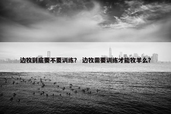 边牧到底要不要训练？ 边牧需要训练才能牧羊么？