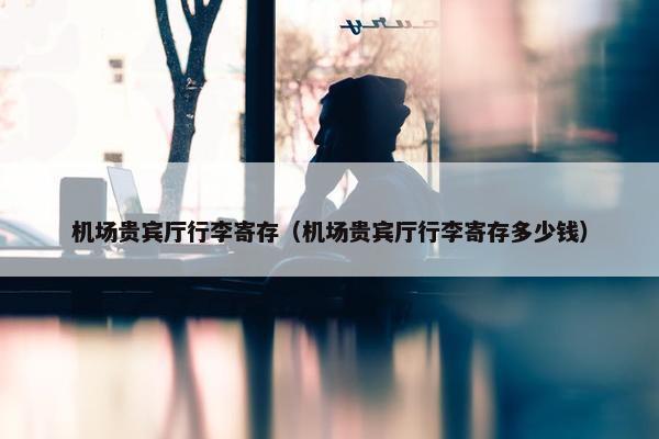 机场贵宾厅行李寄存（机场贵宾厅行李寄存多少钱）