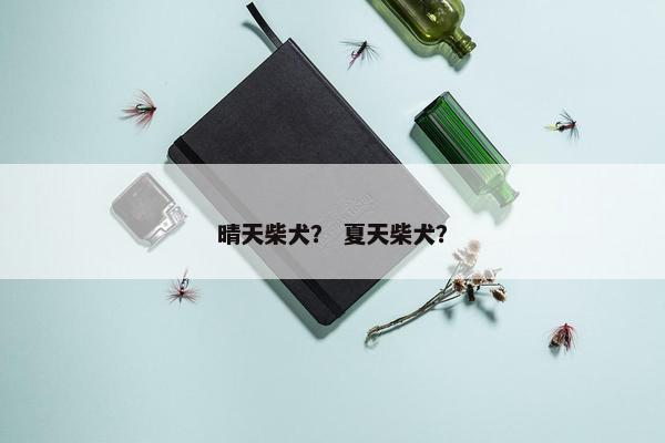 晴天柴犬？ 夏天柴犬？