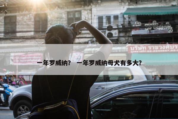 一年罗威纳？ 一年罗威纳母犬有多大？