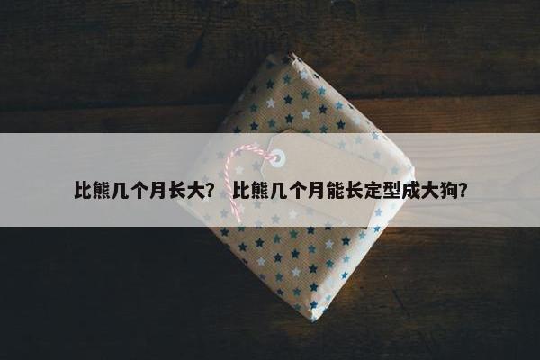 比熊几个月长大？ 比熊几个月能长定型成大狗？