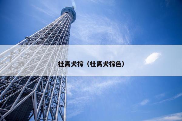 杜高犬棕（杜高犬棕色）