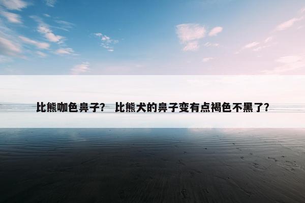 比熊咖色鼻子？ 比熊犬的鼻子变有点褐色不黑了？