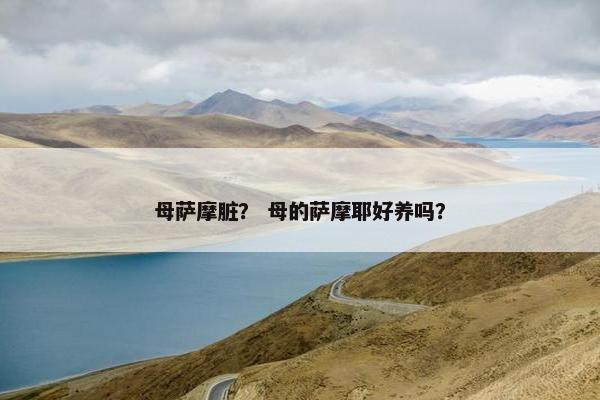 母萨摩脏？ 母的萨摩耶好养吗？