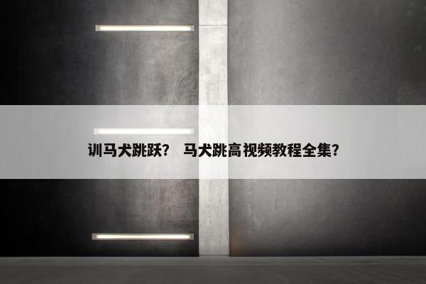 训马犬跳跃？ 马犬跳高视频教程全集？