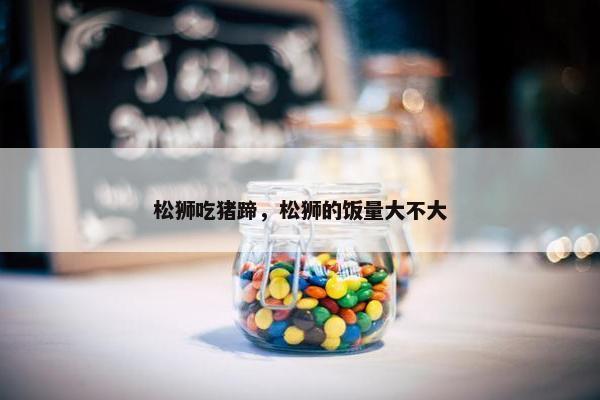 松狮吃猪蹄，松狮的饭量大不大